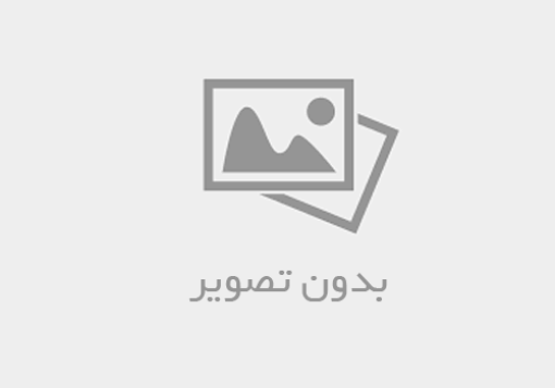 تصویر  تجهیزات بدنه مخفی  توکار (حمام)- دایورتور دو خروجی مدل نیوفلت